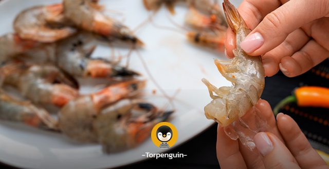 3 วิธีเก็บกุ้ง ให้สดเด้ง นาน 20 วัน พร้อมวิธีจัดการเปลือกกุ้ง เพิ่มมูลค่า